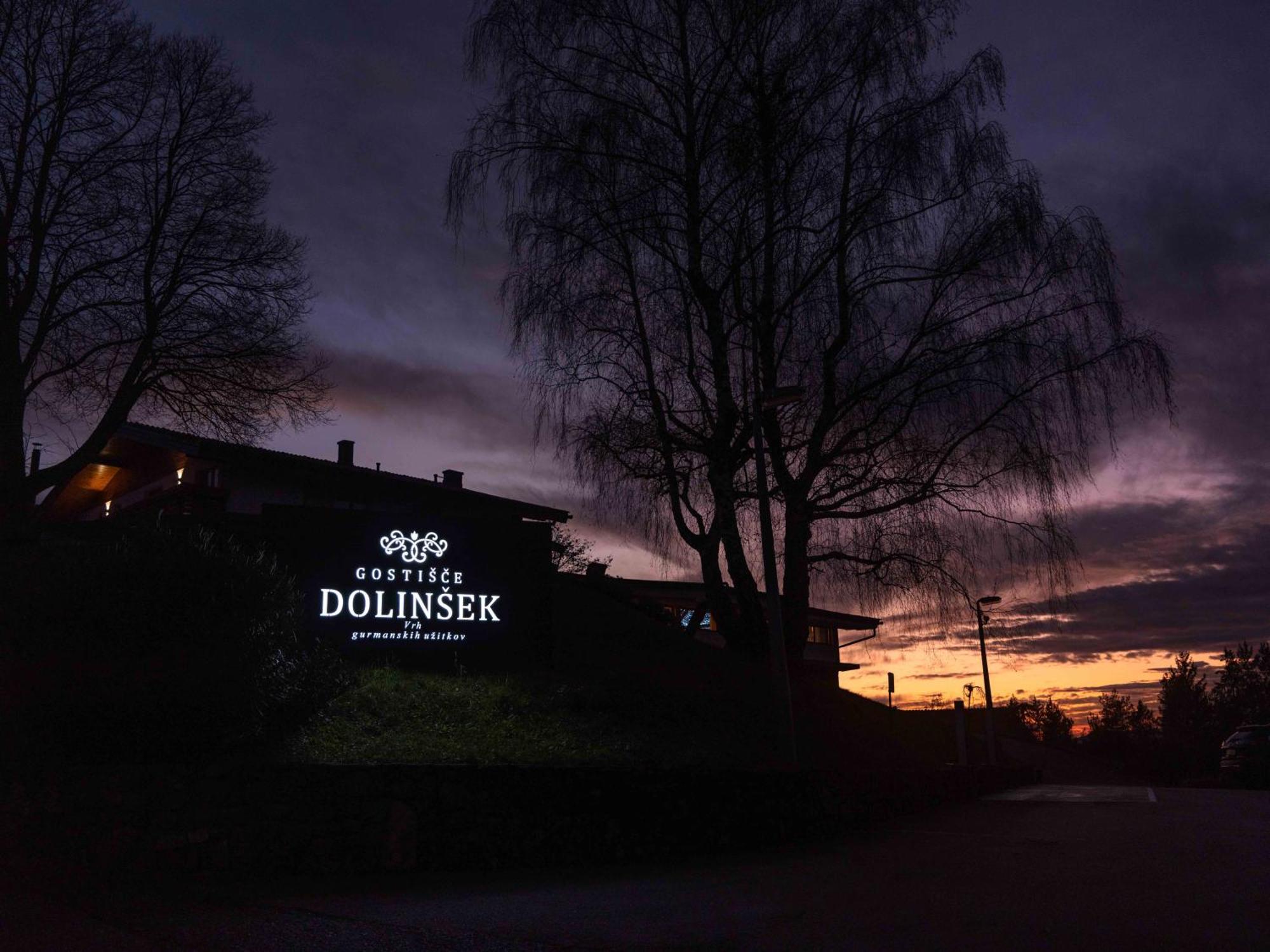 Guesthouse Dolinsek Sevnica Exteriér fotografie